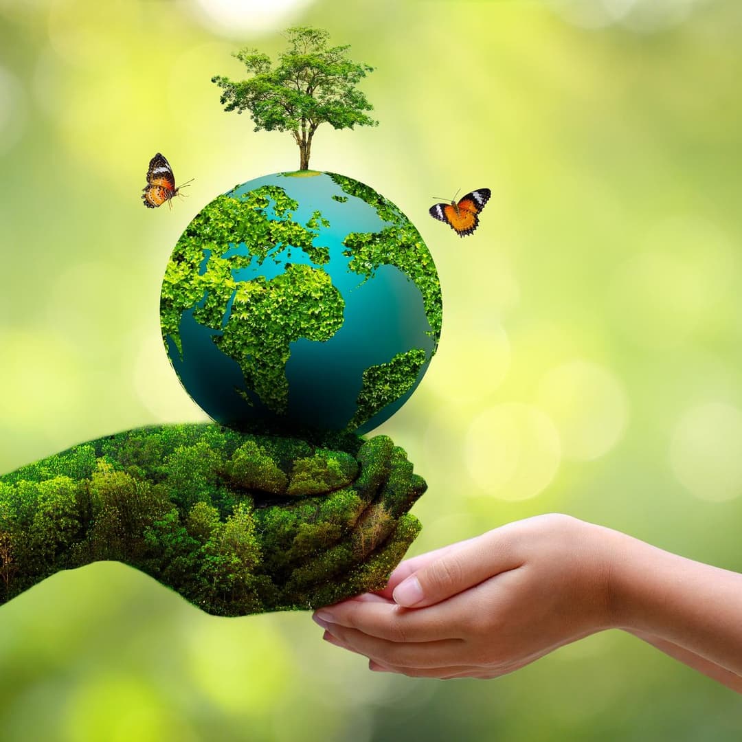 SeriesDetails image for This is the heart of Teffiti, a spin off of Moana!!!!!!!!!!!!!!!!!!!!!!!!!!!!!!!!!!!!!!!!!!